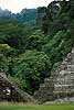 Mayan ruins in the rainforrest at Palenque.  Palenque, Chiapas Mexico North America  sights