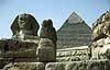 The Sphinx in front of the Chephren pyramid.  Giza, Cairo Egypt Africa  