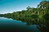 Lago Cocococha, oxbow lake, near the lodge Explorers Inn.  Tambopata-Candamo Reserve / Amazonas Peru South America  