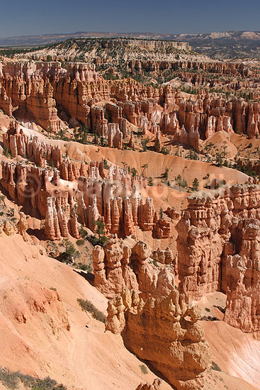 Bryce Canyon National Park. Eroderede sandstensformationer, hoodoos, i Bryce Amphitheater i Bryce Canyon National Park; ; Bryce Canyon National Park / Wyoming; USA; Nord Amerika; ; Bjerge, nationalparker, floder, sandsten, erosion