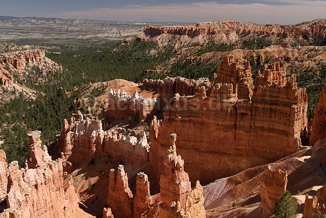 Bryce Canyon National Park. Eroderede sandstensformationer i Bryce Amphitheater i Bryce Canyon National Park; ; Bryce Canyon National Park / Wyoming; USA; Nord Amerika; ; Bjerge, nationalparker, floder, sandsten, erosion