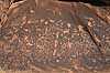 Petroglypher. Petroglypher ved Newspaper Rock udenfor Canyonlands National Park  Utah USA Nord Amerika  Petroglyphs, petroglypher, skriftstegn, historie fort�lling, indianere, indiansk, figurer