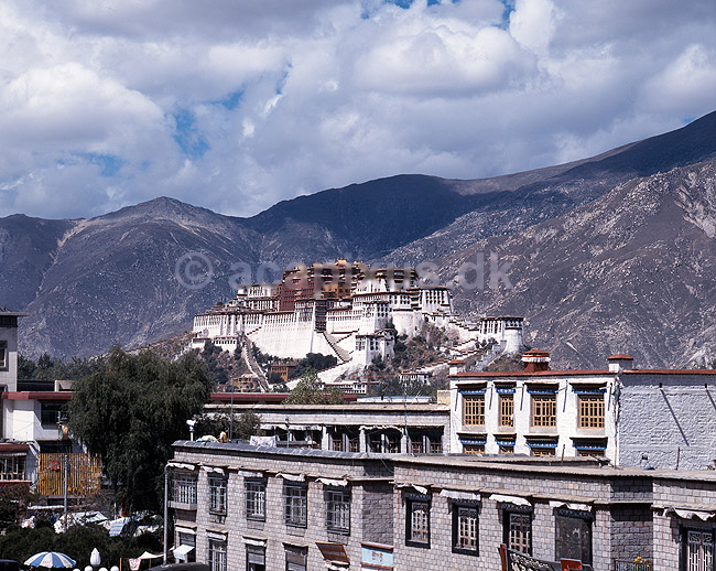 Potala Palace. Potala paladset set fra Jokhang templet; ; Lhasa; Tibet / Kina; Asien; ; Himalaya