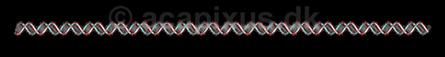 DNA. Deoxyribo Nucleic Acid, DNA molekyle model; ; ; ; ; ; genetik, gener, arvemateriale, genetisk, GMO, videnskab, gensplejsning