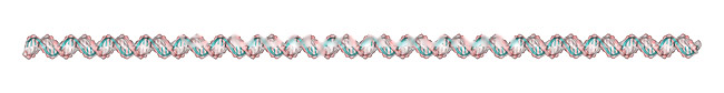 DNA. Deoxyribo Nucleic Acid, DNA molekyle model; ; ; ; ; ; genetik, gener, arvemateriale, genetisk, GMO, videnskab, gensplejsning