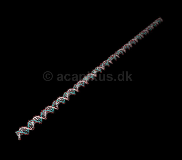 DNA. Deoxyribo Nucleic Acid, DNA molekyle model; ; ; ; ; ; genetik, gener, arvemateriale, genetisk, GMO, videnskab, gensplejsning