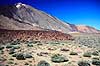 Teide. Lomo de los Cosetes og Teide Mt Teide, 3718m, Tenerife ( Scan af KOL869 )   Teide / Tenerife Spanien Asien  Bjerge, vulkaner, vulkan
