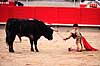 Tyref�gtning. Matadoren blotter sig foran den fuldst�ndigt udmarvede tyr ( Scan af KOL622 )   Plaza de Toros Monumental / Barcelona Spanien   Matador, tyref�gter