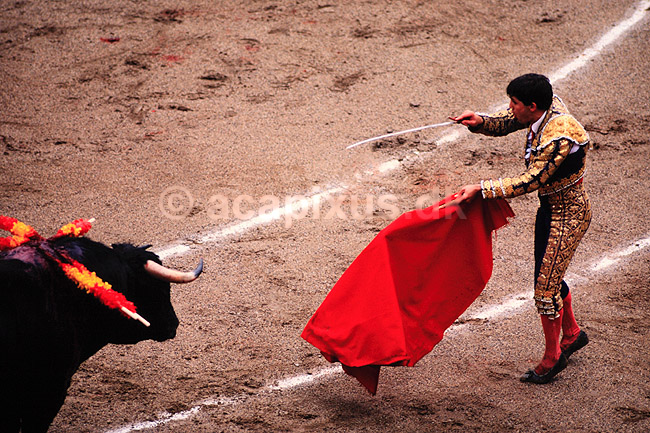 Tyref�gtning. Matadoren koncentrerer sig f�r La Estocada de Muerte, D�dsst�det ( Scan af KOL627 ) ; ; Plaza de Toros Monumental / Barcelona; Spanien; ; ; Matador, tyref�gter