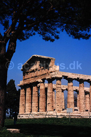 Paestum ruinerne. Paestum ruinerne - Ceres-templet ( Scan af KOL6365 ) ; ; Paestum (Poseidonia); Italien; ; ; Romerriget