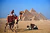 Giza pyramiderne. Kamel foran Giza pyramiderne. Fra venstre Mycerinus, Chephren og Cheops ( Scan af KOL93 )   Giza / Cairo Egypten Afrika  Pyramide, pyramider