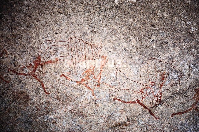 Hulemaleri. Hulemaleri malet af buskm�nd - Matobo National Park, Zimbabwe ( Scan af KOL3584 ) ; ; Matobo NP; Zimbabwe; Afrika; ; Hulemalerier, gnu, gnuer, jagt