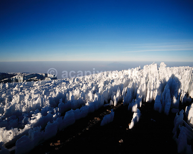 Mt. Kilimanjaro. Mt. Kilimanjaro Kibo (5895 m.) med gletchere og sne ( Scan af KOL5793 ); ; Mt. Kilimanjaro NP; Tanzania; Afrika; ; bjerge, bjerglandskaber, gletcher, gletchere, glaciologi, afsmeltning, global opvarmning, vulkan, vulkaner