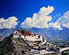 Potala paladset. Potala paladset - Set fra Chagpo Ri ( Scan af KOL4375 )  Lhasa Tibet ( Kina ) Asien  Dalai Lama, budhisme, religion