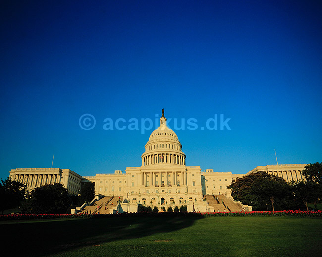 United States Capitol. US Capitol set fra den gr�spl�nen vest for ( Scan af KOL5622 ); ; Washington DC; USA; Nordamerika; ; regering, United States Congress, kongressen, Capitol Hill, regeringsbygninger