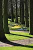 Keukenhof. Keukenhof Blomsterpark i Holland Tulipa Keukenhof Holland  planter Lilje-familien, Liliaceae, tulipan, blomster, blomst, blomsterpark, blomsterparker, have, havebrug