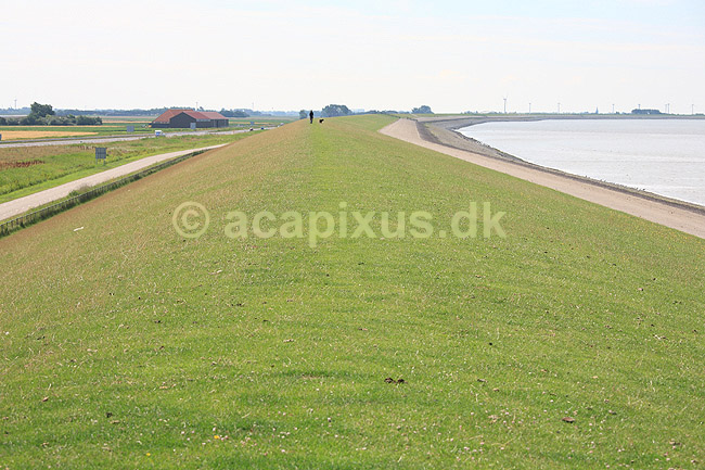 Dige. Hollandsk dige ved Waddenzee; ; ; Holland; ; ; Diger, d�mninger, d�mning, landvinding, afvanding