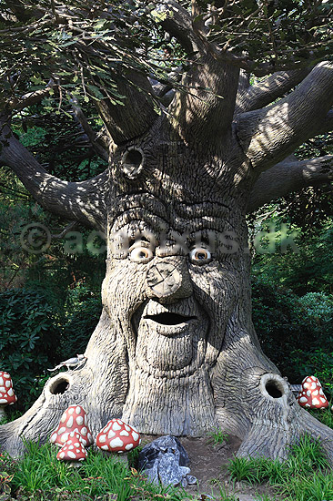 Efteling. Eventyrstr�et (Sprookjesboom) i Eventyrskoven (Sprookjesbos) i Efteling forlystelsesparken i Holland; ; Efteling / Kaatsheuvel; Holland; ; ; The Netherlands, forlystelsesparker