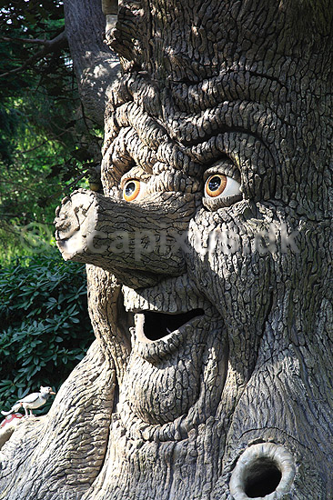 Efteling. Eventyrstr�et (Sprookjesboom) i Eventyrskoven (Sprookjesbos) i Efteling forlystelsesparken i Holland; ; Efteling / Kaatsheuvel; Holland; ; ; The Netherlands, forlystelsesparker