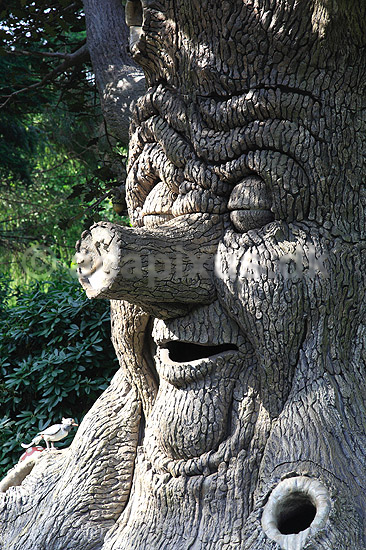 Efteling. Eventyrstr�et (Sprookjesboom) i Eventyrskoven (Sprookjesbos) i Efteling forlystelsesparken i Holland; ; Efteling / Kaatsheuvel; Holland; ; ; The Netherlands, forlystelsesparker