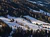 Alpbach. Bjergside med sne, bondehuse og spor efter off-piste slalom i de �striske Alper  Alpbach �strig   Slalom, sne, skil�b, ski, vinter, vintersport, sport, fritid, Alperne, �sterreich, skiferie