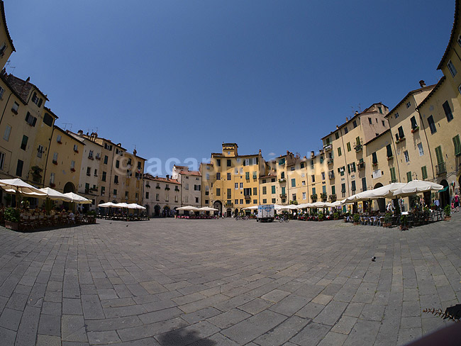 Piazza Anfiteatro. Plads bygget omkring tidligere romersk amfiteater - Anfiteatro Romano - i Lucca; ; Lucca; Italien; ; ; Toscana, Toscany, toscansk. Fortorvscaf�, turisme, sightseeing