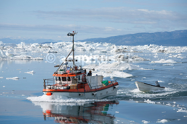 Fiskerb�d. En fiskerb�d sejler gennem isbjerge p� vej til  Ilulissat; ; Ilulissat; Gr�nland; ; ; Jakobshavn, isbjerge, iceberg, icebergs, b�d, b�de