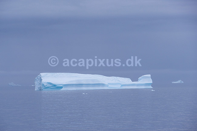 Isbjerg. Isbjerge i havet ud for Ilulissat; ; Ilulissat; Gr�nland; ; ; Jakobshavn, isbjerge, iceberg, icebergs