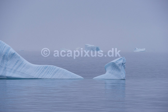 Isbjerg. Isbjerge i havet ud for Ilulissat; ; Ilulissat; Gr�nland; ; ; Jakobshavn, isbjerge, iceberg, icebergs