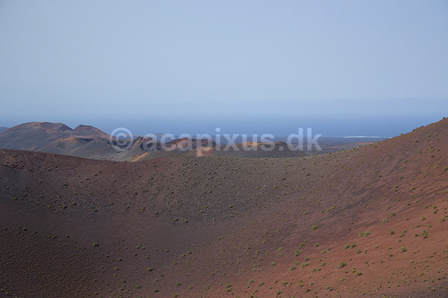 Lanzarote. Pionerplanter vokser i vulkanlandskab i Timanfaya Nationalparken p� Lanzarote i De Kanariske �er; ; Parque Nacional de Timanfaya / Lanzarote; Spanien; ; ; Vulkaner, vulkanisme, vulkan, lava