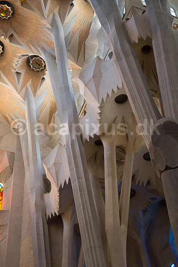 La Sagrada Familia. Interi�r i hovedskibet i Gaudis uf�rdige kirke, Sagrada Familia, i Barcelona; ; Barcelona; Spanien; ; ; Temple Expiatori de la Sagrada Familia, Basilica and Expiatory Church of the Holy Family, Antoni Gaudi, UNESCO world heritage