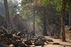 Ta Prohm / Angkor Wat. Ta Prohm templet i Angkor Archeological Park, World Heritage Site, bygget i 12e �rhundrede af Jayavarman VII  Angkor Archeological Park / Siem Reap Cambodia   Angkor Wat, Templer, Khmer riget