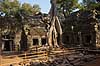 Ta Prohm / Angkor Wat. Ta Prohm templet i Angkor Archeological Park, World Heritage Site, bygget i 12e �rhundrede af Jayavarman VII  Angkor Archeological Park / Siem Reap Cambodia   Angkor Wat, Templer, Khmer riget
