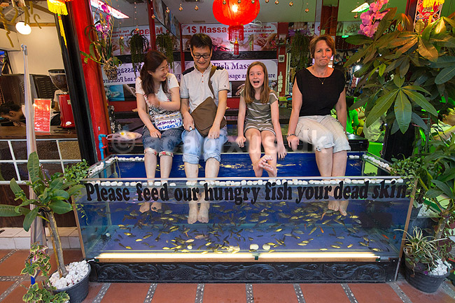 Fodmassage. Turister f�r renset f�dder af fisk i akvarium i Siem Reap i Cambodia - Please feed our hungry fish your dead skin; ; Siem Reap; Cambodia; ; ; Turisme, ferie, rejser, hudpleje, akvarier