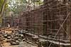 Ta Prohm / Angkor Wat. Restaurationsarbejde i Ta Prohm templet i Angkor Archeological Park, World Heritage Site, bygget i 12e �rhundrede af Jayavarman VII  Angkor Archeological Park / Siem Reap Cambodia   Angkor Wat, Templer, Khmer riget, stillads