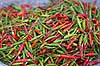 Chili. Chili p� marked i Thailand   Thailand   Krydderi, krydderier, mad, gr�ntsager