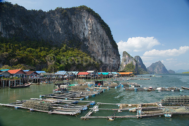 Koh Panyi. Fiskerlandsbyen Koh Panyi bygget p� p�le i Ao Phang Nga National Park i Thailand ; ; ; Thailand; ; ; sev�rdigheder, rejser, turisme