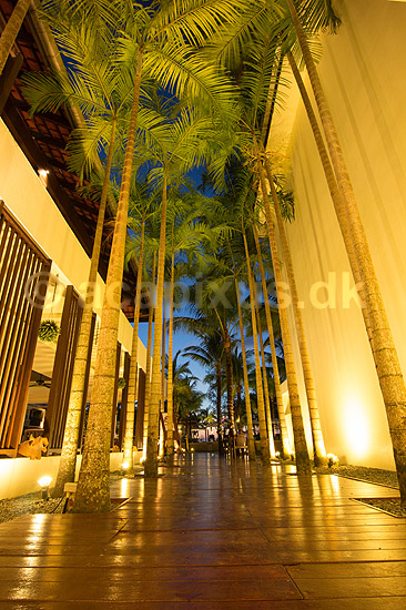 Hotel i Thailand. Passage med palmer i Hotel Briza Beach Resort Khao Lak ved Khao Lak i Thailand; ; ; Thailand; ; ; sev�rdigheder, rejser, turisme, hoteller