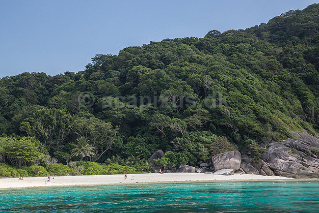 Similan Islands. Turister p� stranden p� Similan Islands; ; ; Thailand; ; ; sev�rdigheder, rejser, turisme, badeferie