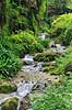 Bjergstr�m. Vandl�b i bjergene n�r Pieve ovenfor Gardas�en  Gardas�en / Pieve Italien  landskaber 