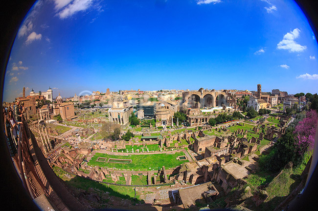 Forum Romanum. Forum Romanum set fra Palatiner H�jen; ; Forum Romanum / Rom; Italien; ; Sev�rdigheder; romerriget, turistsev�rdigheder, templer