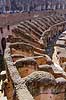 Colosseum. Colosseum i Rom  Rom Italien  Sev�rdigheder romerriget, gladiatorkampe, turistsev�rdigheder, teatre, Colosseo, Coloseum, Collosseum, Colloseum