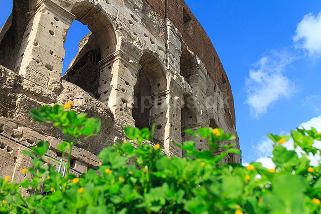 Colosseum. Colosseum i Rom; ; Rom; Italien; ; Sev�rdigheder; romerriget, gladiatorkampe, turistsev�rdigheder, teatre, Colosseo, Coloseum, Collosseum, Colloseum