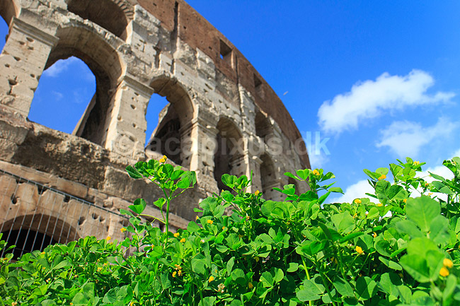 Colosseum. Colosseum i Rom; ; Rom; Italien; ; Sev�rdigheder; romerriget, gladiatorkampe, turistsev�rdigheder, teatre, Colosseo, Coloseum, Collosseum, Colloseum