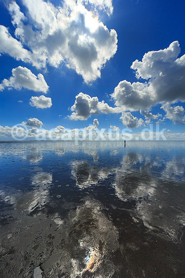 R�m�. Vadehavet ved S�nderstrand p� R�m� - himmel med skyer spejles i det lavtst�ende spejlblanke vand p� vaden; ; R�m�; Danmark; ; ; Himmel og hav, spejlinger, sommerferie, ferie