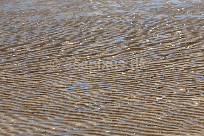 R�m�. Sandkrusninger eller sandm�nstre i sandet i vaden ved S�nderstrand / vadehavet p� R�m�; ; R�m�; Danmark; ; ; M�nstre