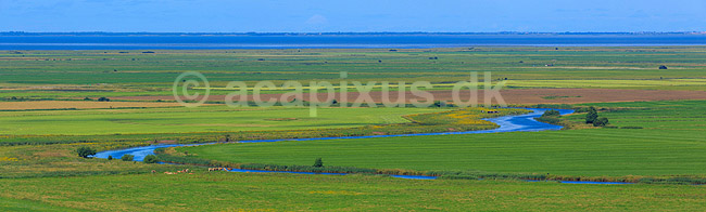 Marsklandskab. Ribe � snor sig gennem masken ved Ribe; ; Ribe; Danmark; ; ; 