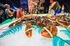 Hummere. Hummer og andre skaldyr udstillet p� Mercado de La Boqueria i Barcelona  Mercado de La Boqueria / Barcelona Spanien   Marked, markeder, r�varer, mad, madlavning, kogekunst
