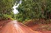 Jordvej. Jordvej gennem Misiones regnskoven i Argentina n�r Yacutinga Lodge  Misiones Argentina Sydamerika  