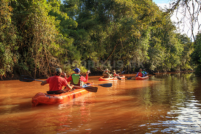 Regnskov. �koturister p� kanotur p� biflod til Iguazu floden, der l�ber gennem regnskoven n�r Yacutinga Lodge; ;  Yacutinga Lodge; Argentina; Sydamerika; ; 